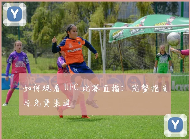 如何观看 UFC 比赛直播:完整指南与免费渠道