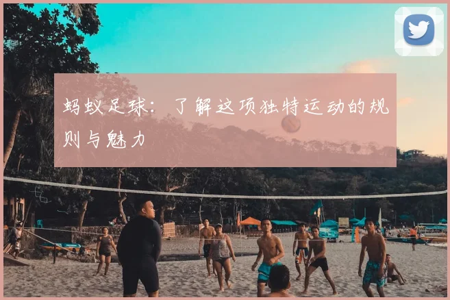 蚂蚁足球:了解这项独特运动的规则与魅力